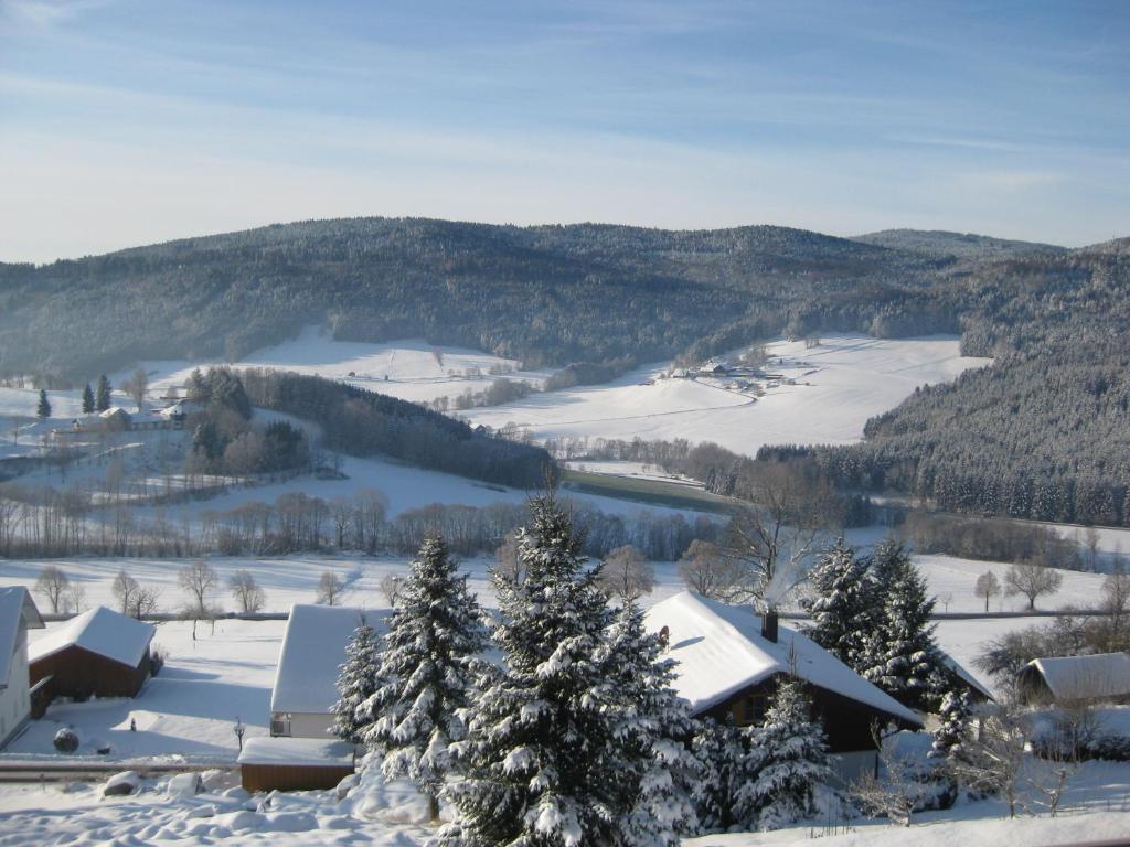 Ferienwohnungen Grill Schönberg Habitación foto